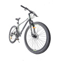 vanh xe mtb 29 inches  racing cycles for men macce/bicycle zapatillas de mtb da bomb frame basikal mtb carbon 45cm